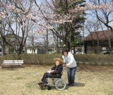 近所の公園にてお花見に出かけました。