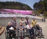 ジュピターランドひらたで、芝桜を見て来ました。きれいな芝桜を前にハイチーズ！！