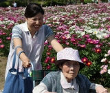 芍薬見学に行きました。天気が良く、皆様笑顔いっぱいです。