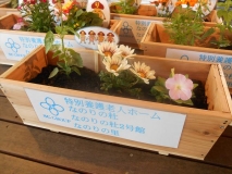 300529花植え_7